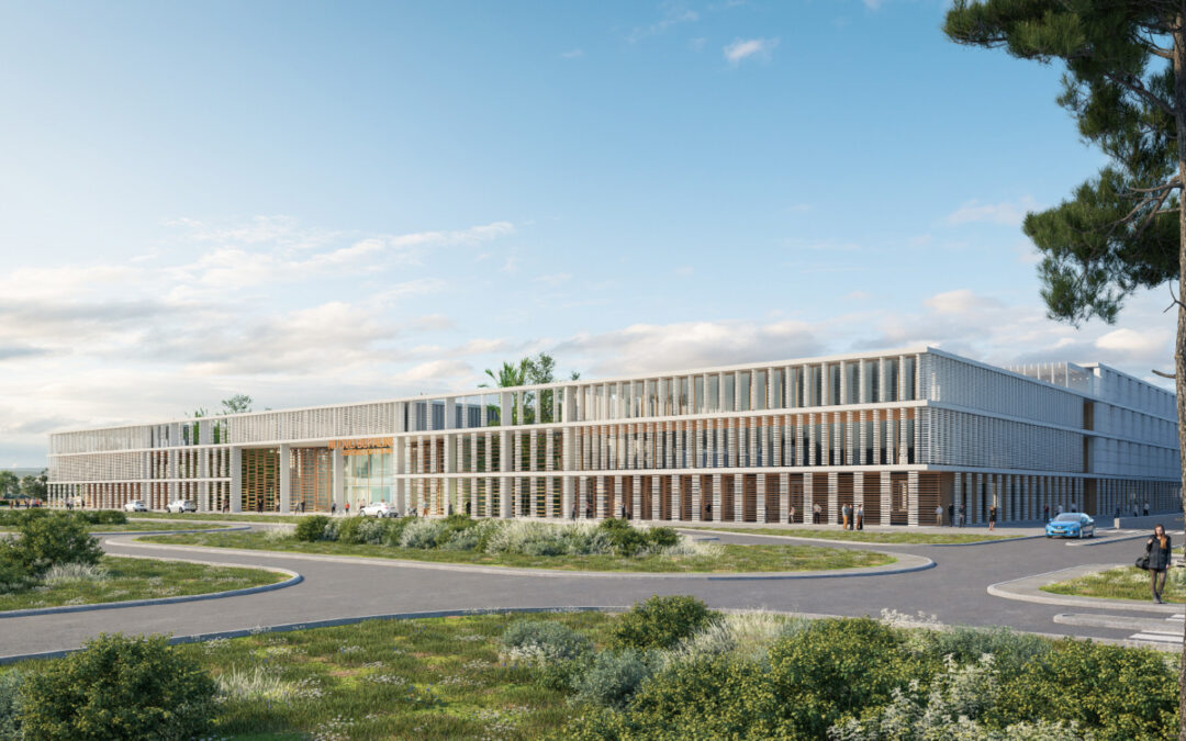 Tender for the design of the New Hospital of Cesena